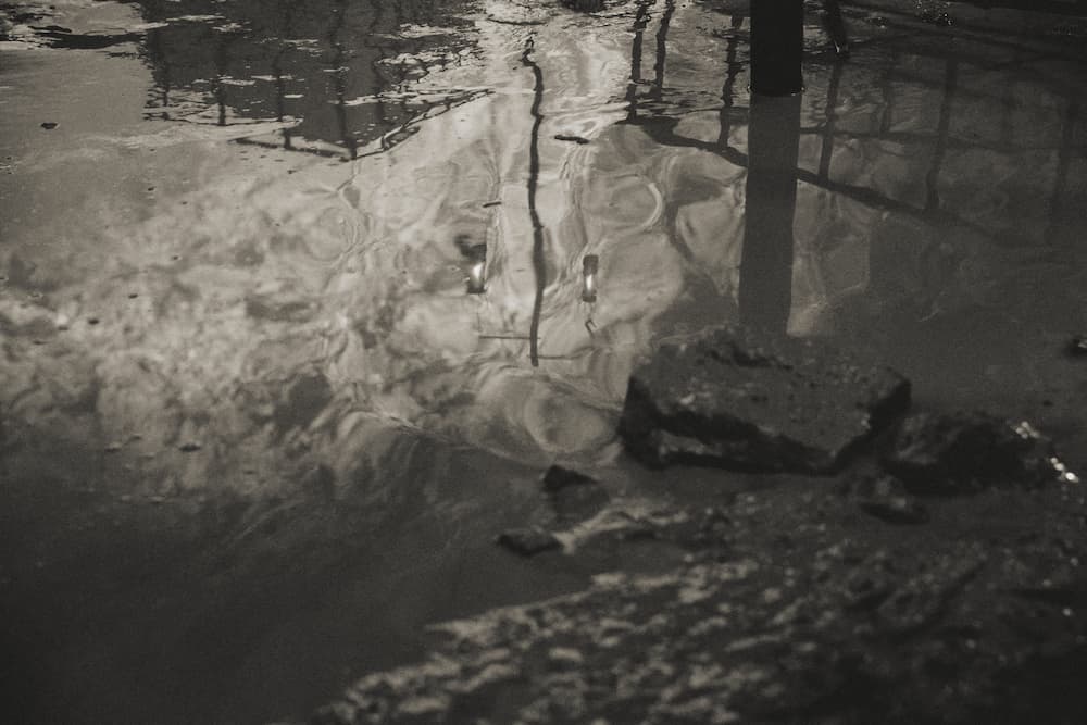 Mysterious traces found at the vampire hideout