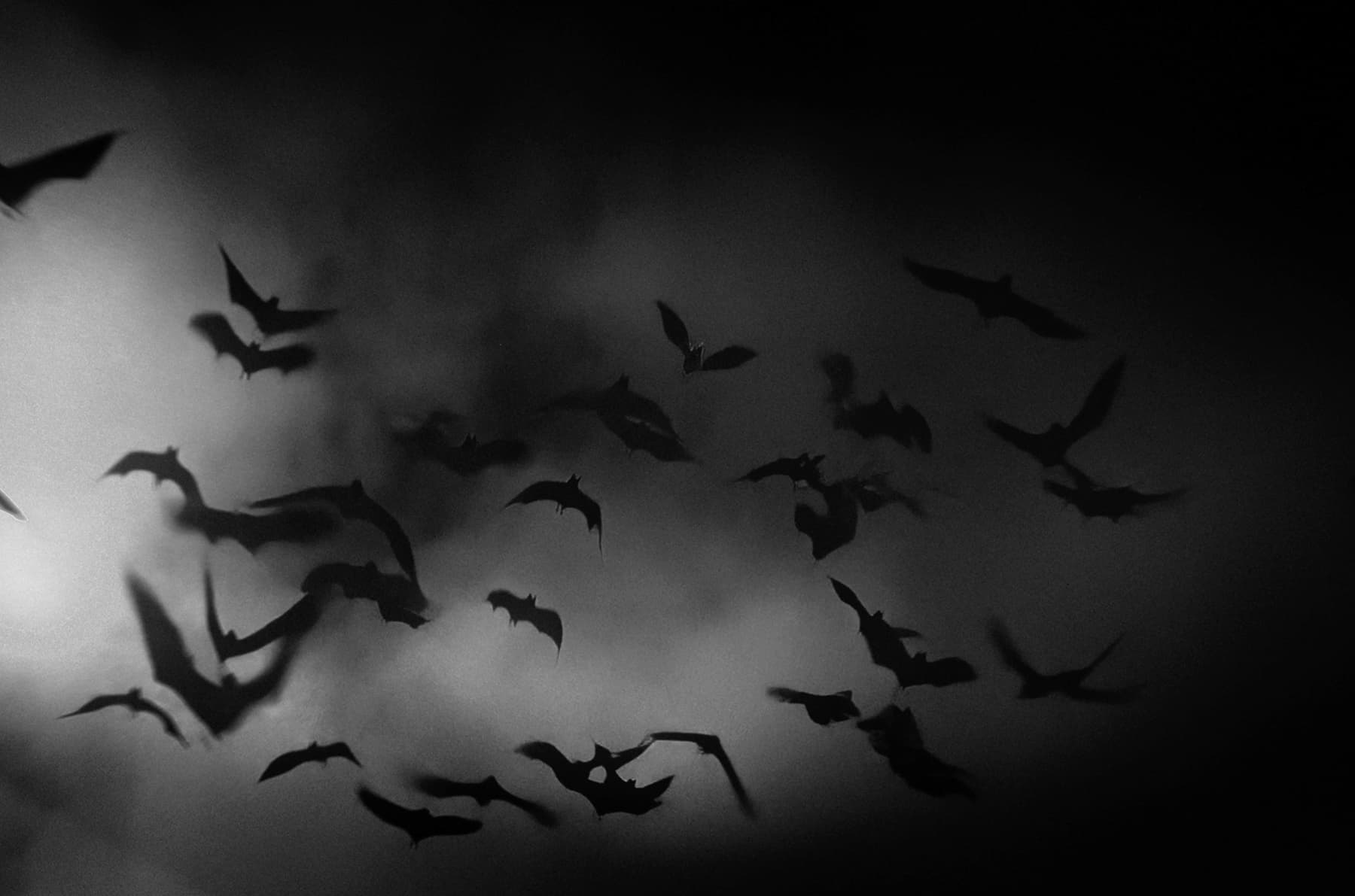 Seven silhouettes captured on CCTV moments before the collapse