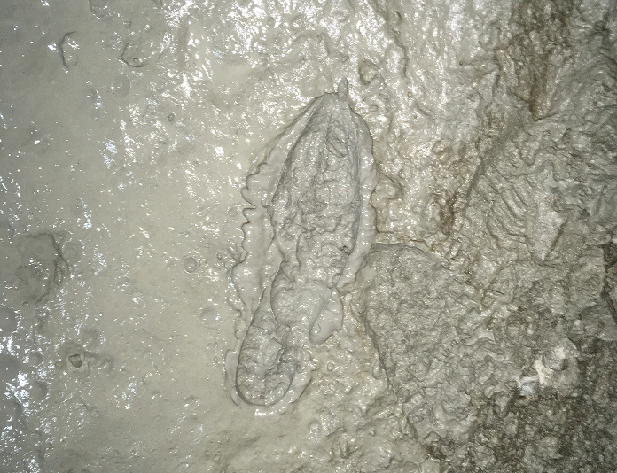 Dusty cave floor showing overlapping footprints, with one highlighted as a different shape.